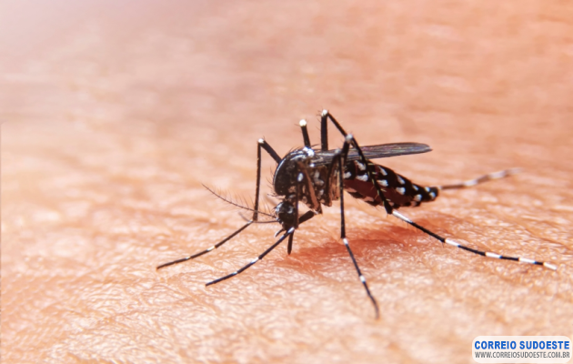Morte-por-dengue-é-confirmada-em-Guaranésia