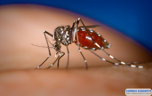 Com-mais-de-mil-casos-em-um-mês,-dengue-avança-em-Guaxupé-e-em-todo-país