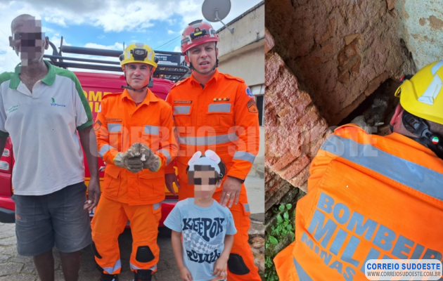 Corpo-de-Bombeiros-resgata-filhote-de-gato-preso-há-dois-dias-em-muro