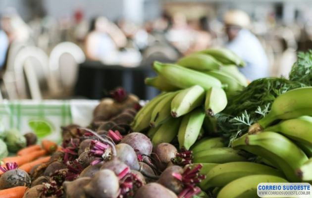 Sancionada-lei-que-incentiva-doação-e-combate-ao-desperdício-de-alimentos-no-Brasil
