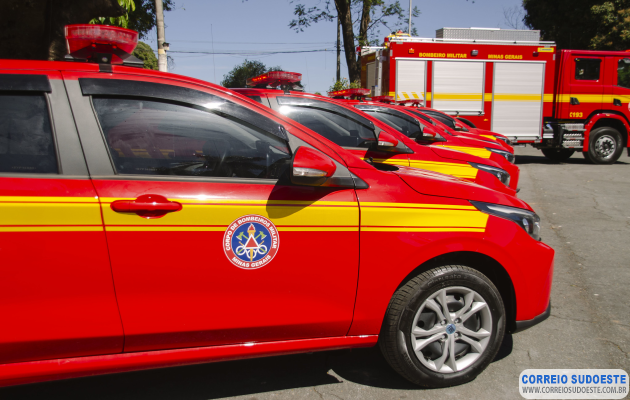 Idoso-e-bombeiro-são-atacados-por-cão-no-centro-de-Guaxupé