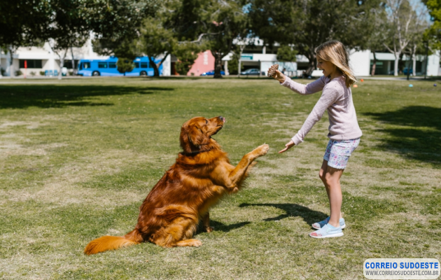 Cães-de-estimação-aumentam-práticas-de-atividades-físicas-entre-crianças,-aponta-estudo