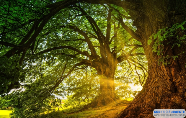 Ele-está-no-meio-de-nós