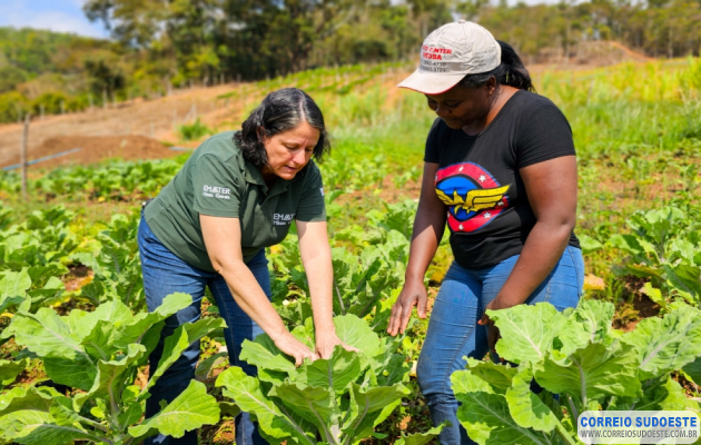 Pesquisa-mostra-que-produtores-rurais-aprovam-o-trabalho-da-Emater-MG