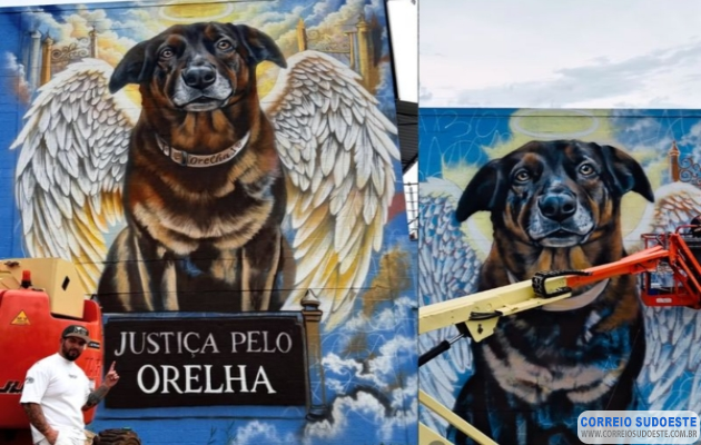 Caso-Orelha:-polícia-pede-internação-de-adolescente-envolvido-no-crime