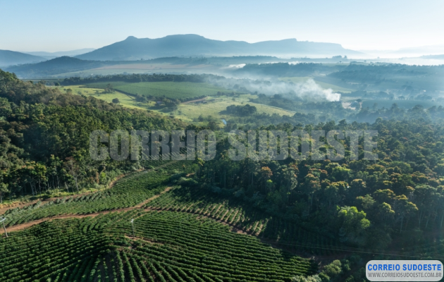 Guaxupé-e-o-novo-capítulo-do-café-no-Sudoeste-de-Minas